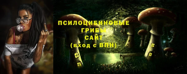дмт Чегем