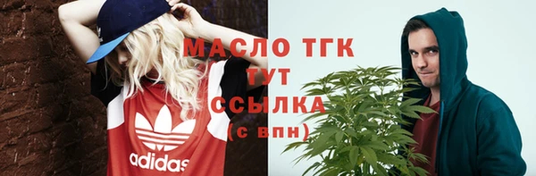 крисы Чердынь