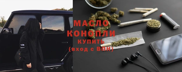крисы Чердынь