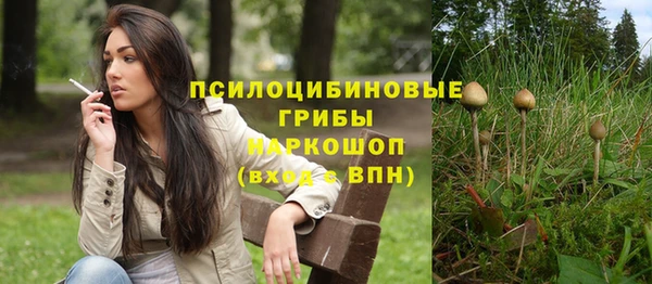 соль ск Чекалин