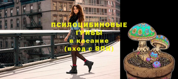 крисы Чердынь