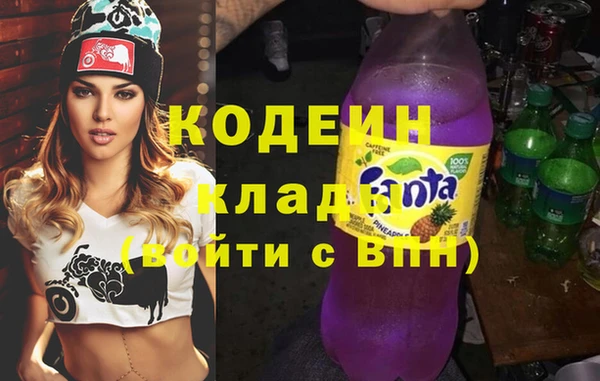 крисы Чердынь
