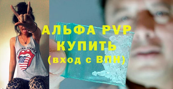 крисы Чердынь