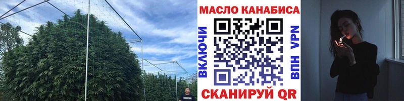 Дистиллят ТГК концентрат  ОМГ ОМГ сайт  Александров 