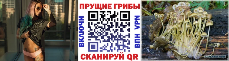 Галлюциногенные грибы мухоморы  MEGA как зайти  Александров  купить  