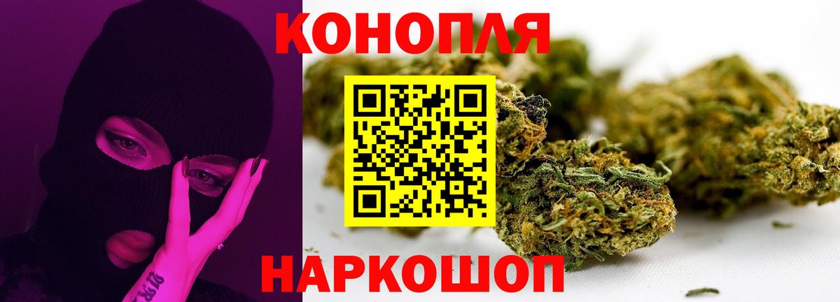 Шишки марихуана сатива  Канабис марихуана  Александров  Вход с VPN  Бошки марихуана тримм 